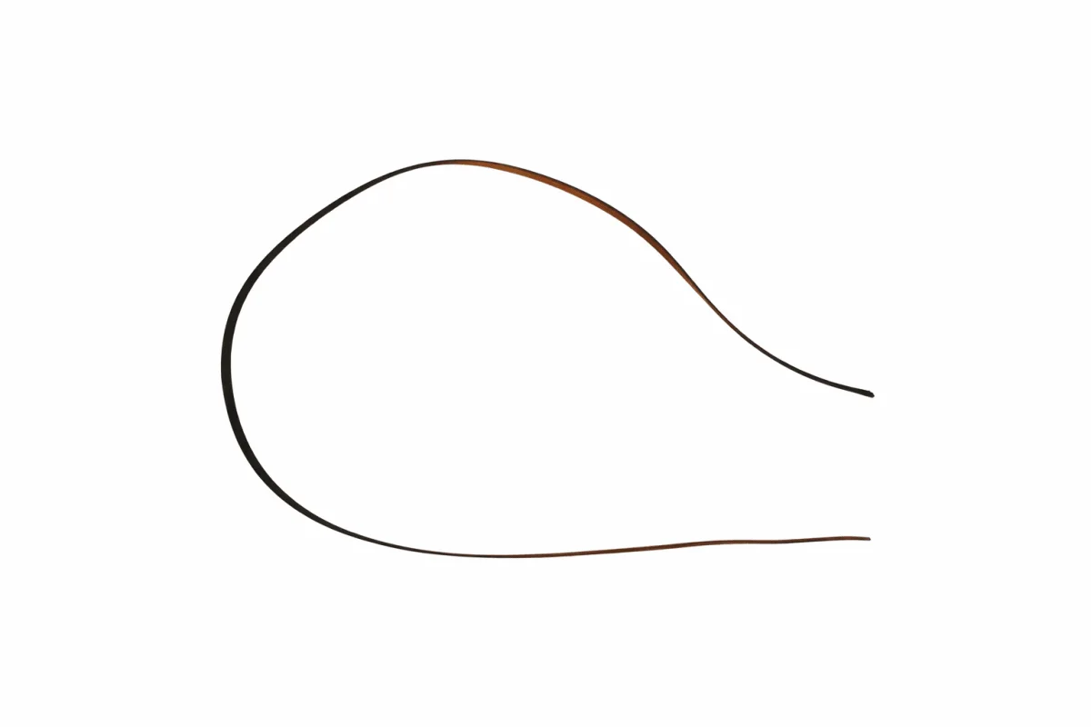 Brake Belt