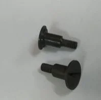 Dornier Screw