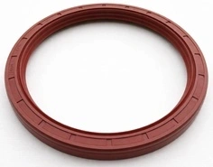 921 009 698 Sulzer, Shaft Gasket 100x120x12