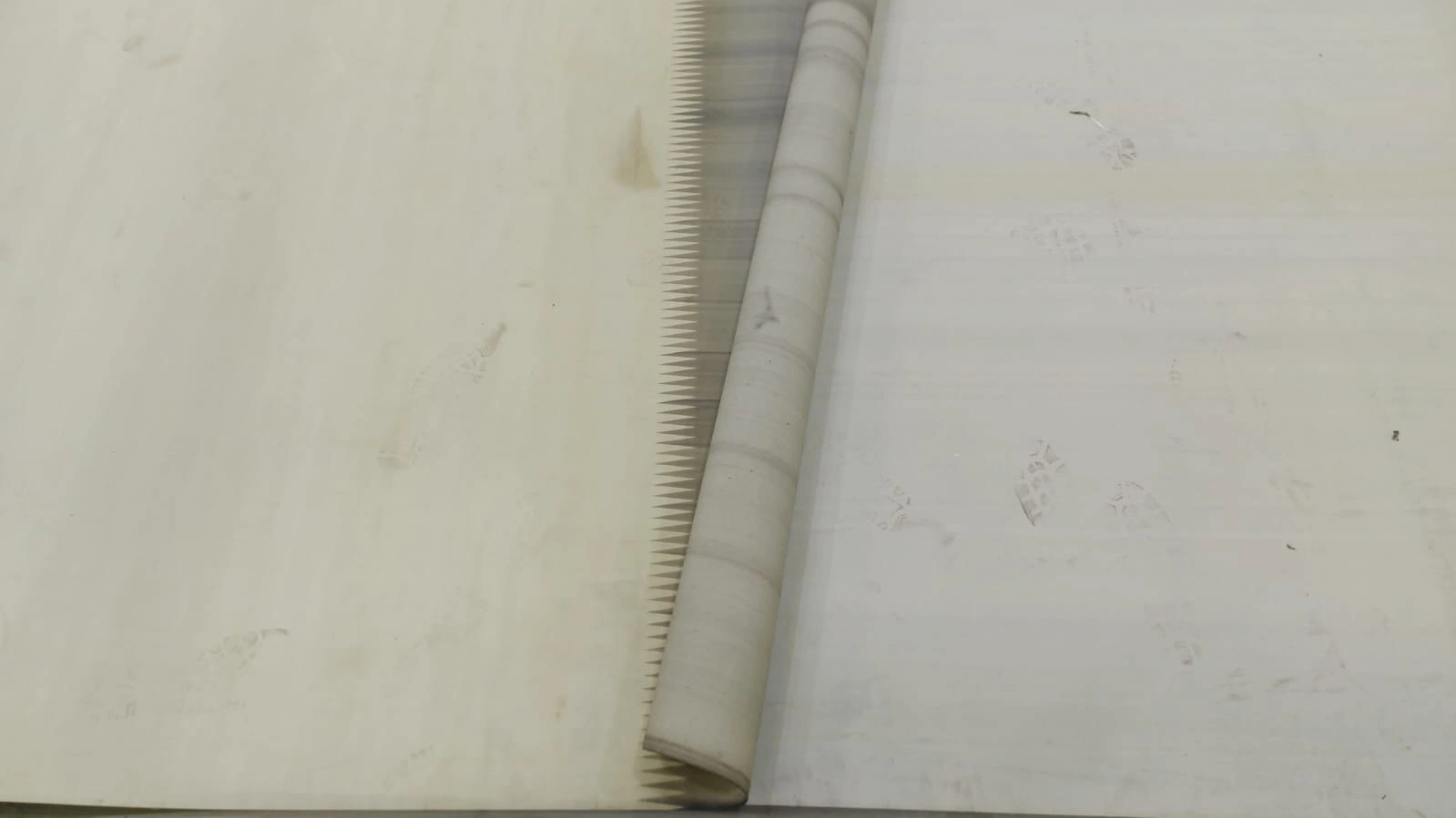 Conveyor Belt