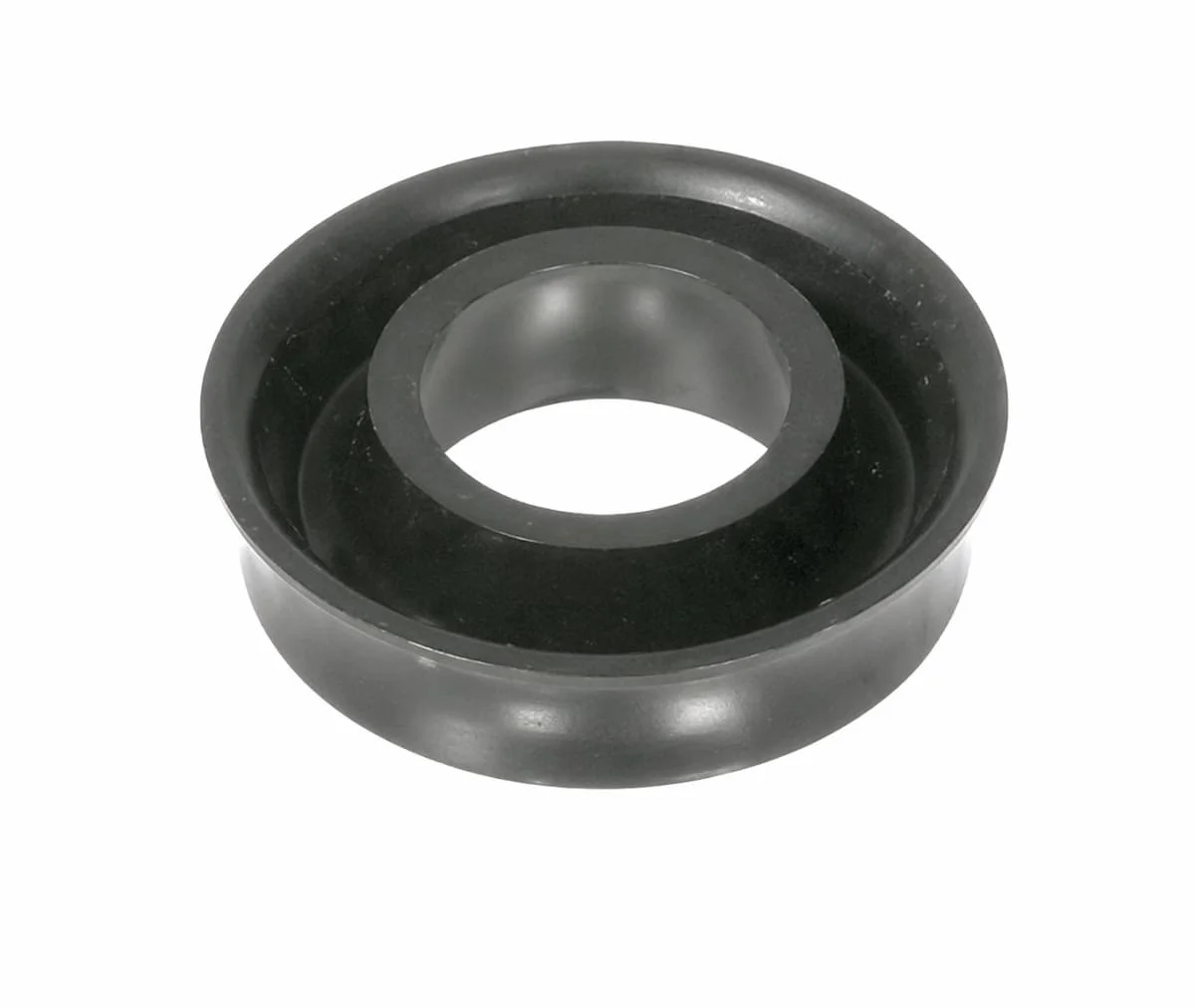 Piston seal