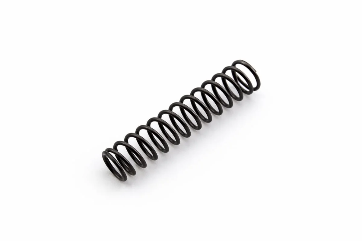 PNP55359 Nuovo Pignone Spring for FAST